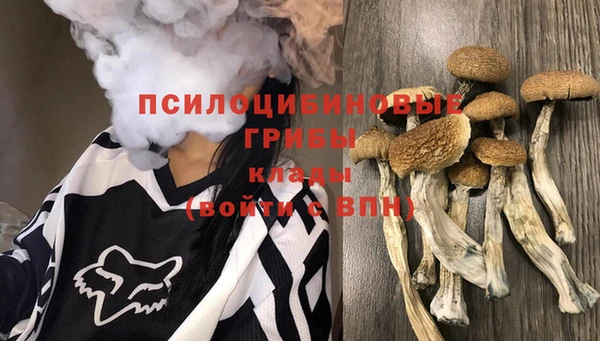 mdpv Корсаков