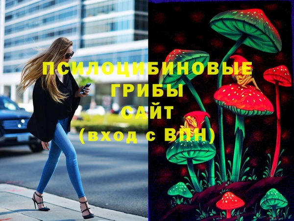 а пвп мука Коряжма