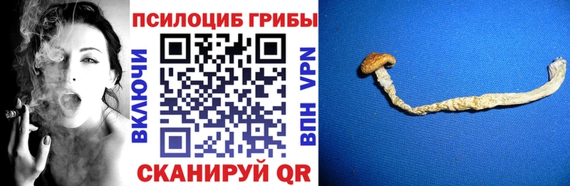 Псилоцибиновые грибы Magic Shrooms  Копейск 